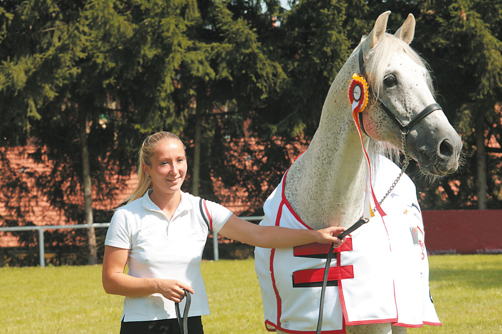 Veřejnost rozhodla jednoznačně, pro ní byl bez diskusí Nejkrásnějším,koněm České republiky (2014) bělouš Fusilero III  Foto Lucie Hladová